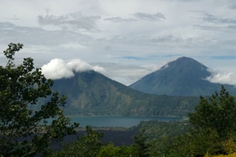 Explore the site