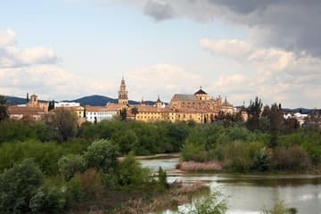 View of the Mezquita de Cordoba from across the river.