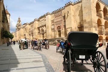 Horse and carriage outside the long west facade of the Mezquita, its plain walls punctuated by beautifully decorated portals. This part of the mosque was added in the late 10th century under Al-Mansur.
