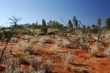 Red desert landscape at the Olgas.