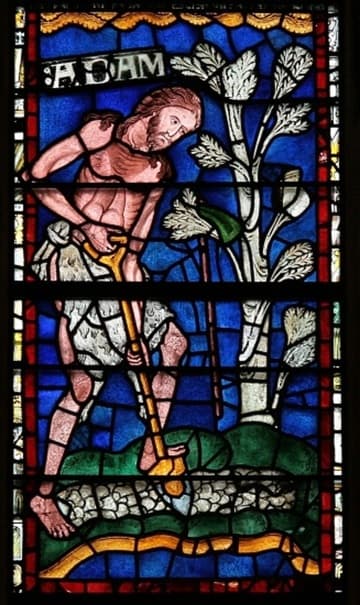 Adam delving. This is the oldest (c.1174 AD) and most famous of 43 surviving panels of the Ancestors of Christ dating from the late 12th century and originally placed in the clerestory. Adam is now in the central light in the bottom row of the west window.