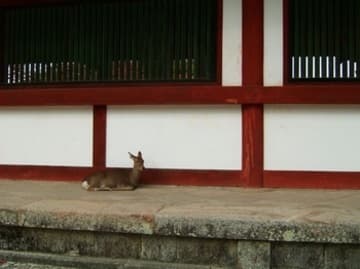 Sacred Destinations photograph