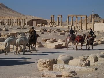 Camels make their way through the ancient ruins of Palmyra.