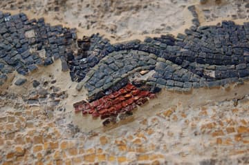 Close-up look at the tesserae that make up the beautiful mosaics.