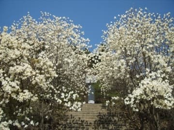 Sacred Destinations photograph