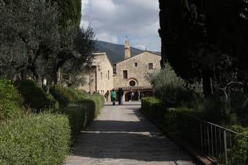 The peaceful, olive-tree-lined approach to the Chiesa di San Damiano.