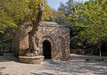 House of the Virgin