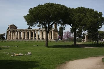 Temple of Ceres or Athena (500 BC).