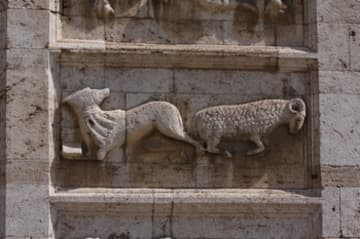 A wolf distracted from his reading by a sheep.