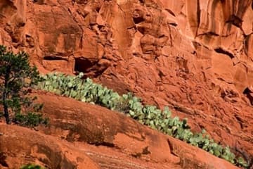 Sacred Destinations photograph