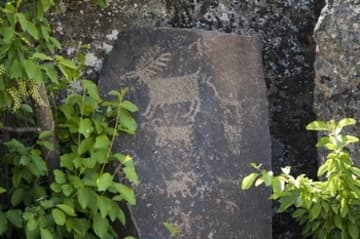 Petroglyphs of animals.
