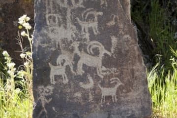 Petroglyphs of animals.
