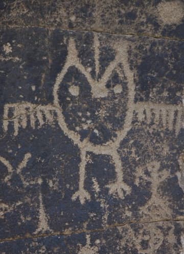 Owl petroglyph.