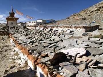 Mani Wall with yak head.