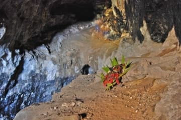 Sacred Destinations photograph