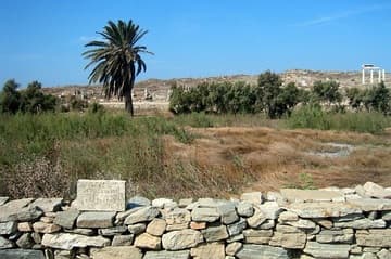 A short distance north of the Sanctuary of the Bulls is an oval indentation in the earth where the Sacred Lake once sparkled. It is surrounded by a stone wall that reveals the original periphery. According to islanders, the lake was fed by the River Inopos from its source high on Mt. Kynthos until 1925, when the water stopped flowing and the lake dried up.