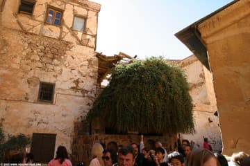 The Burning Bush.
