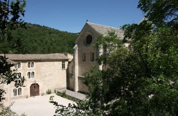 South facade of the abbey church from above. On the left is the outer wall of the cloister.