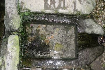 Healing waters of St. Non's Well, with offerings.