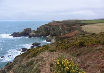Beautiful Welsh coastline at St. Non's Bay.