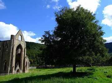 The graceful ruin of Tintern Abbey stands amid lovely countryside. Shown here is the south transept of the abbey church.