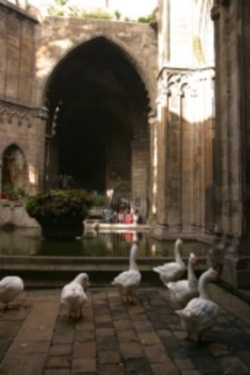 Sacred Destinations photograph