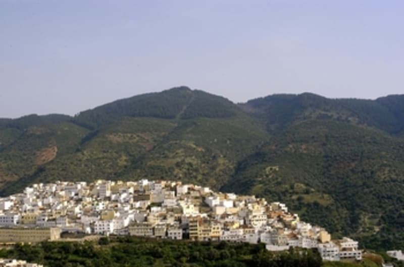 Tomb of Moulay Idriss