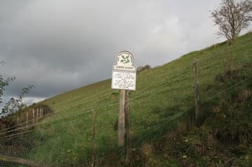 Fenceline and NT signpost at Giant Hill.