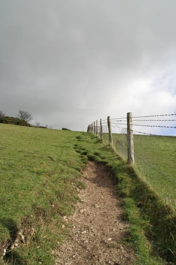 Interactive satellite map of the Cerne Abbas Giant (top marker).