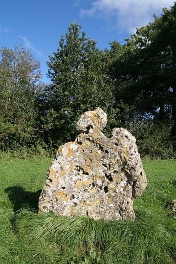 One of the stones of the King's Men, a stone circle dating from about 2500-2000 BC. It is almost perfectly round and has a diameter of 104 ft (33 m). Originally, there may have been as many as 105 stones, but today there are 77 stones. Over a third of the stones were put back in place during the site's restoration in 1882. The stones are of heavily-weathered local oolotic limestone. Rollright Stones, Oxfordshire, England.