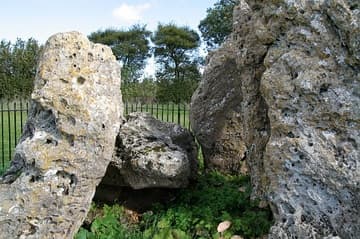 Interior of the Whispering Knights, a tight cluster of four stones; a fifth, probably the capstone, has fallen. The stones are part of a portal dolmen-type burial chamber dating from about 4000-3500 BC, and originally projected out of a low, flat-topped platform that surrounded them. Dismembered bodies were placed in the chamber for burial. Human remains were place in the chamber for over a thousand years, well into the Bronze Age. The Whispering Knights are named for the conspiratorial way in which they lean in towards each other. Local legend has it that they were plotting against their king when they were turned into stone by a witch, along with the other monuments at Rollright. Another legend says that on New Year's Eve, at the tolling of the bells of Long Compton church, the stones go down to the valley to drink. Rollright Stones, Oxfordshire, England.