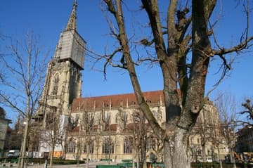 Side view from the M&uuml;nsterplattform.