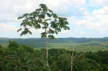 Sacred Destinations photograph