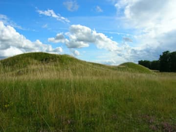 Royal burial mounds in August.
