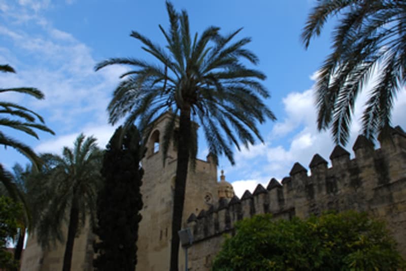 Alcazar de Los Reyes Cristianos