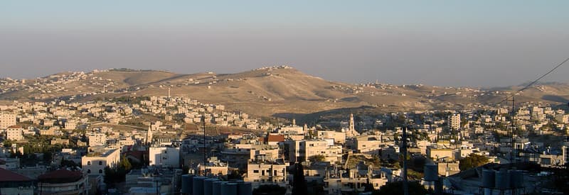 Shepherds' Fields