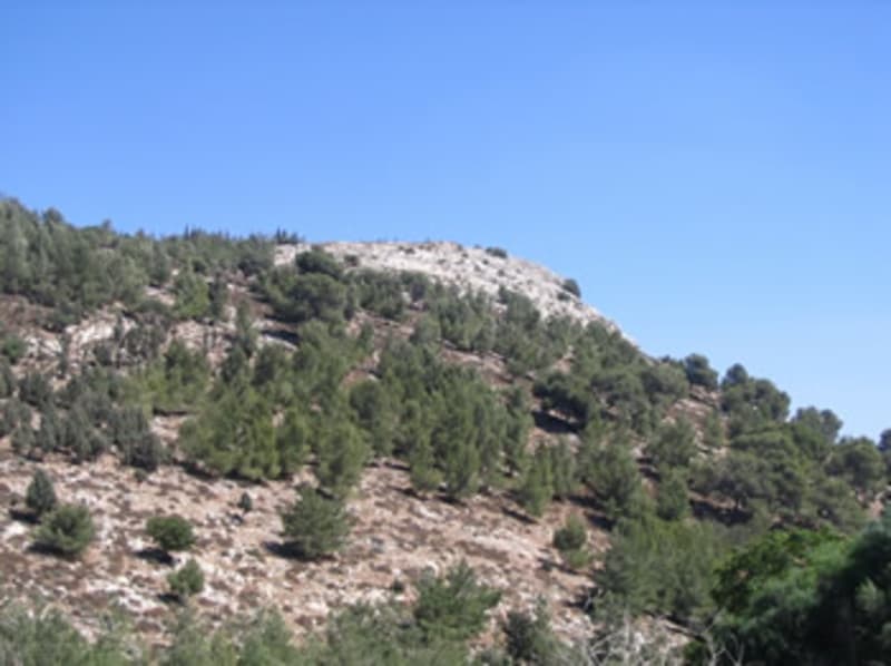 Slopes of Mount Precipice.