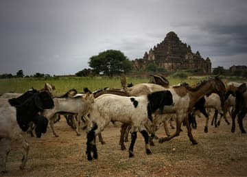 Sacred Destinations photograph