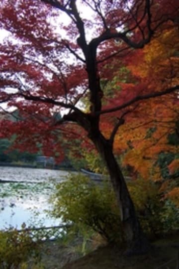 Sacred Destinations photograph