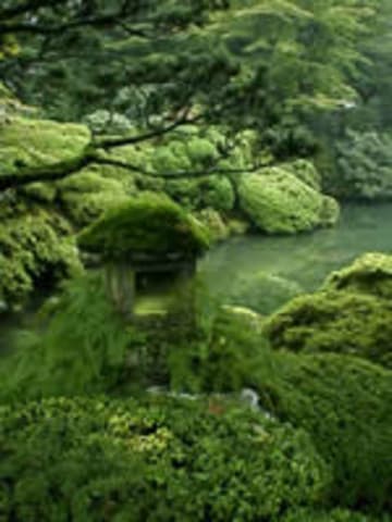 Sacred Destinations photograph