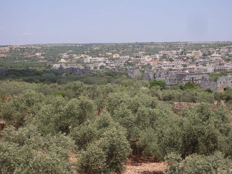 Al-Bara