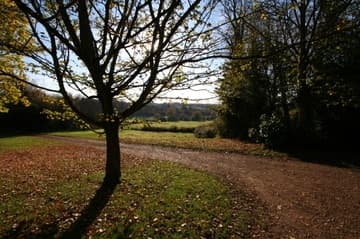 Path leading to the battlefield (center background).