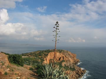 Sacred Destinations photograph