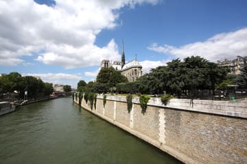 Cathedral view from the southeast, on a bridge over the Seine.