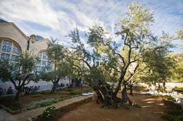 Jerusalem