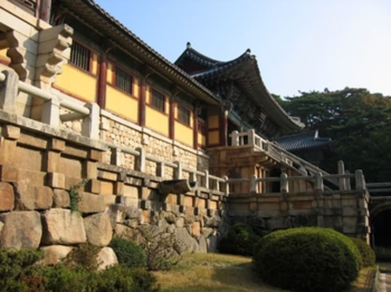 Explore the site
