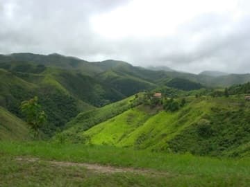 Explore the site