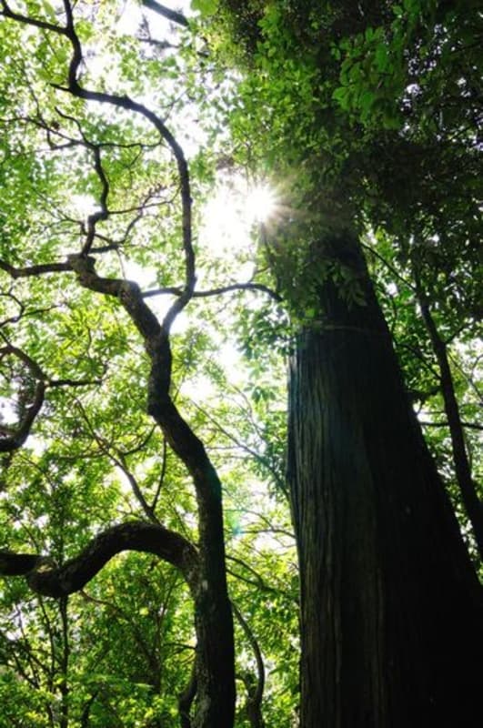 Explore the site