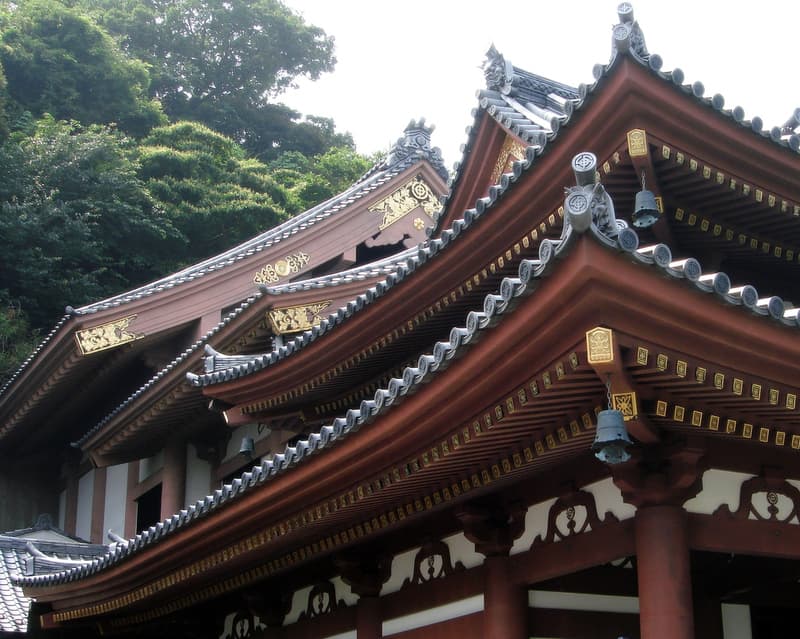 Explore the site