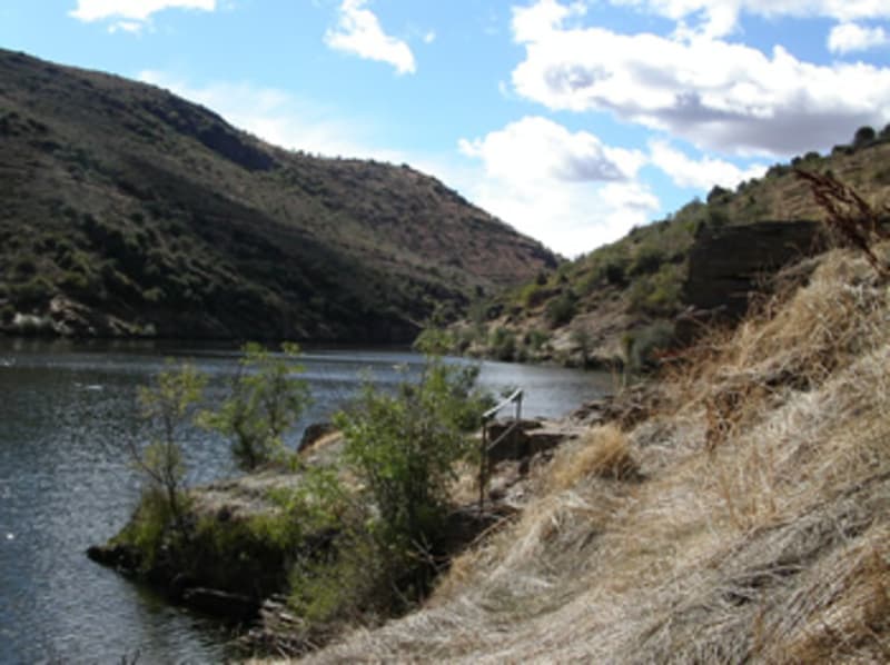 Explore the site